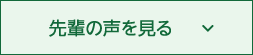 先輩の声を見る